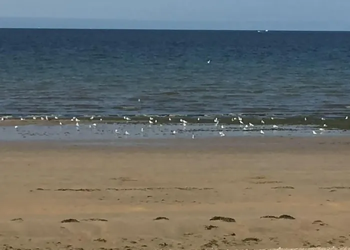 アパート Tanagra A Langrune-s-mer : 4 Personnes Langrune-sur-Mer